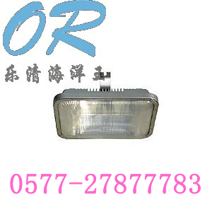 NFC9175长寿顶灯
