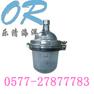 NFC9112防眩泛光灯