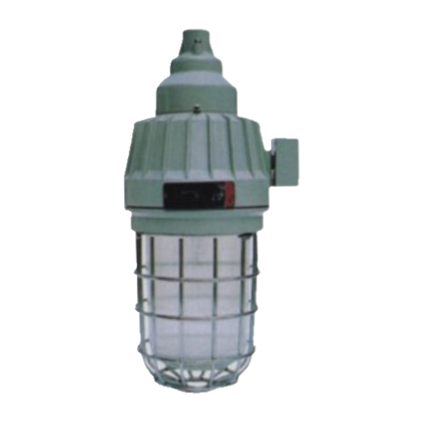  BAD61防爆灯（ⅡB、ⅡC）