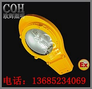 供应BLC8610防爆道路灯，防爆路灯，防爆马路灯