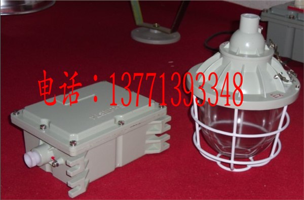 供应BAD51防爆灯具/BAD5020防爆灯/BAD53防爆金卤灯
