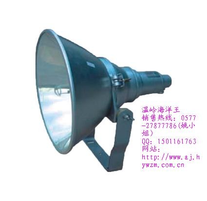 供应防震投光灯HYW（NTC9200）OR