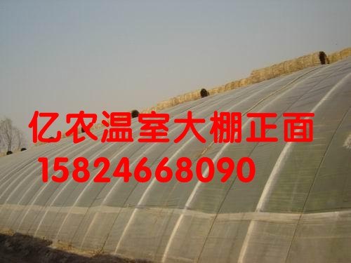 供应内蒙古养殖食用菌大棚支架 价格