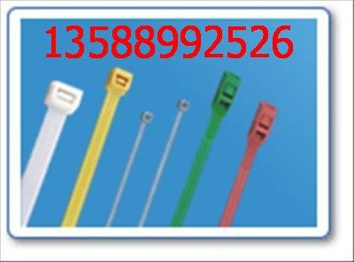 供应浙江8*250可松式尼龙扎带塑料制品