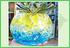 供应花泥31
