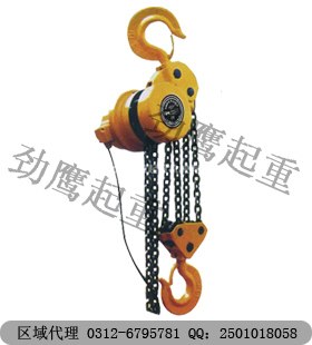 供应环链电动葫芦厂家 群吊爬架葫芦厂家首选上海劲鹰公司