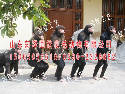 供应仿真猴子仿真猿野人仿真模型，仿真类人猿白头猿