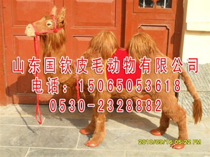 供应大量批发仿真照相用品照相动物骆驼模型仿真马，量大从优