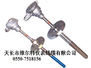 供应耐磨阻漏热电偶【维尔特仪表】