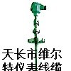 吹气热电偶 WRP2C-430【维尔特仪表】