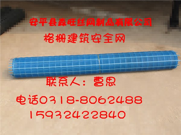 供应塑料防风阻沙网