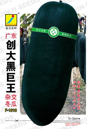 供应广东创大黑巨王冬瓜种子1618