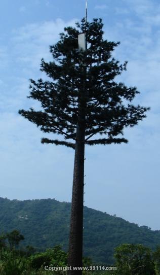 供应仿真基站树 假树 仿真大型基站树 仿真美化天线树厂家