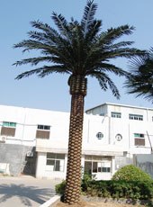 供应仿真海枣树 假海枣树 仿真海枣树研发基地