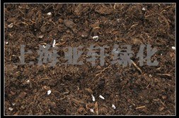 天津大量供应屋顶花园“花卉种植”专用营养土 营养土价格