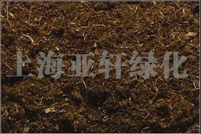 天津低价供应“家庭花卉盆景”专用泥炭土 求购泥炭土