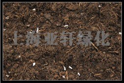 天津低价供应“垂直绿化”专用泥炭土 泥炭土密度