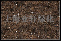 天津批发“观赏竹子”专用泥炭土 东北泥炭土
