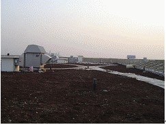 供应屋顶绿化及喷播专用泥炭 批发  温州低价供应
