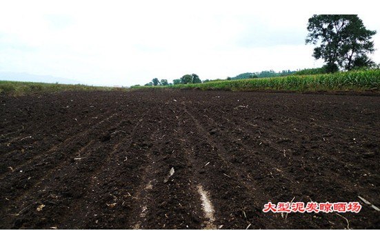 供应泥炭土  温州低价供应 泥炭土 东北草炭