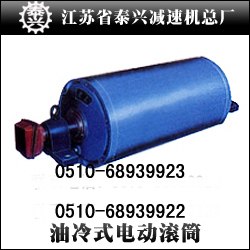 WDT,W BT,WXT,DY1 TDY电动滚筒
