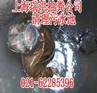 供应上海卢湾区清理沼气池清掏井底清抽污水处理64084960