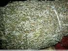 翻白草提取物