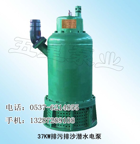 供应潜水排沙电泵