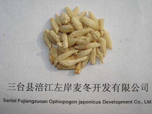 供应三台麦冬|三台麦冬批发