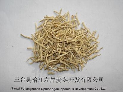 供应台湾麦冬|香港麦冬