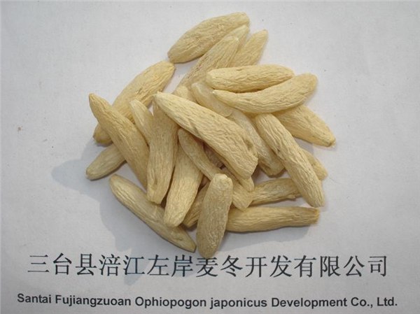 供应麦冬茶|麦冬保健茶|麦冬合作社
