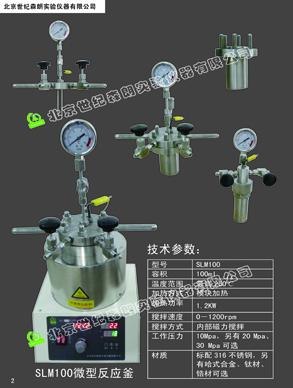 供应100ml微型平行高压反应釜，微型磁力高压反应釜,100ml微型高压加氢