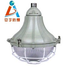 供应防爆防腐灯BGL-L175B1Z，250W防爆防腐灯