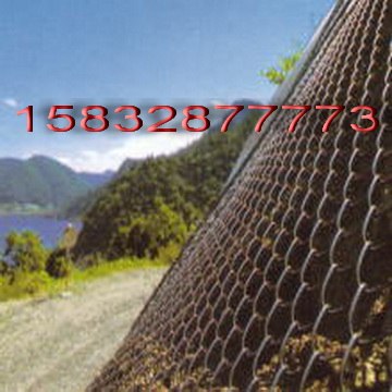 供应铁丝网为生态绿化做出了贡献龙亿铁丝网品牌