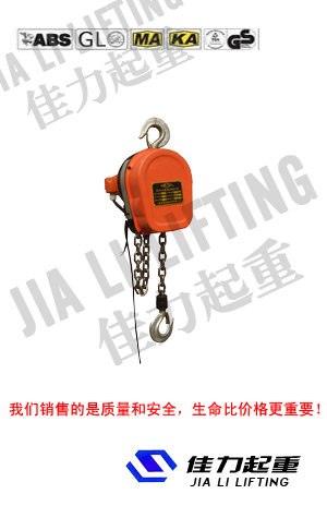 供应上海电动葫芦小型电动葫芦提升机