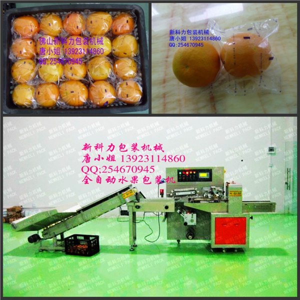 供应全自动橙子包装机