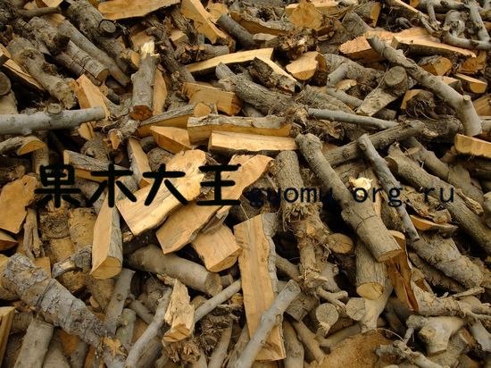 供应烤牛扒苹果木