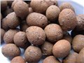 供应东莞陶粒