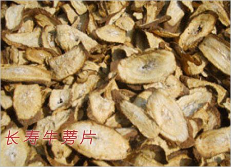 供应牛蒡片的作用