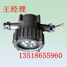 供应矿用隔爆型LED巷道灯
