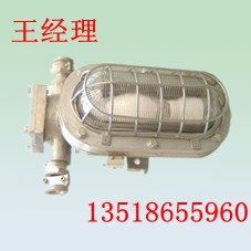 供应矿用隔爆型支架灯