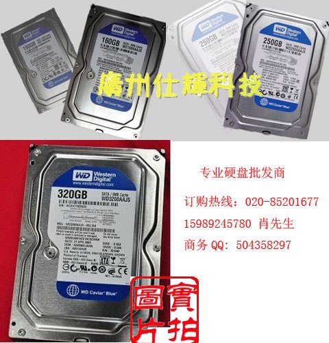 wd/西部数据500g7200转16msata 