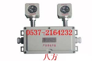 供应矿用 白炽灯 DGS60防爆白炽灯