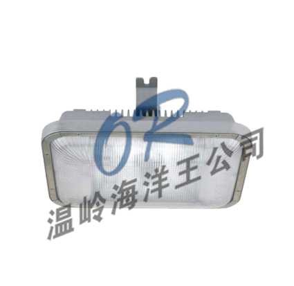 供应NFC9175,长寿顶灯,无极灯