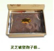 供应灵芝破壁孢子粉、破壁灵芝孢子粉、孢子油、灵芝茶、灵芝切片等