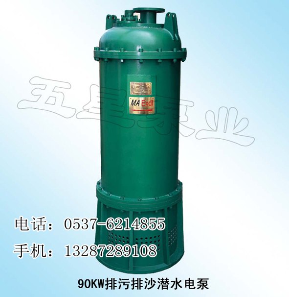 供应潜水排沙电泵
