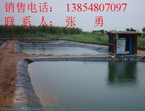 供应山东永利排水板有限公司,直销排水板