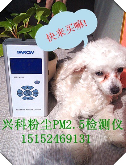 厂家供应pm2.5是什么意思检测仪粉尘