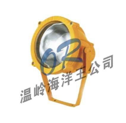 供应BTC8200防爆投光灯