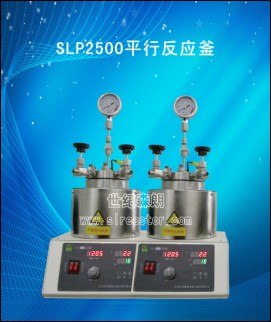 供应上海SLP2500平行高压反应釜